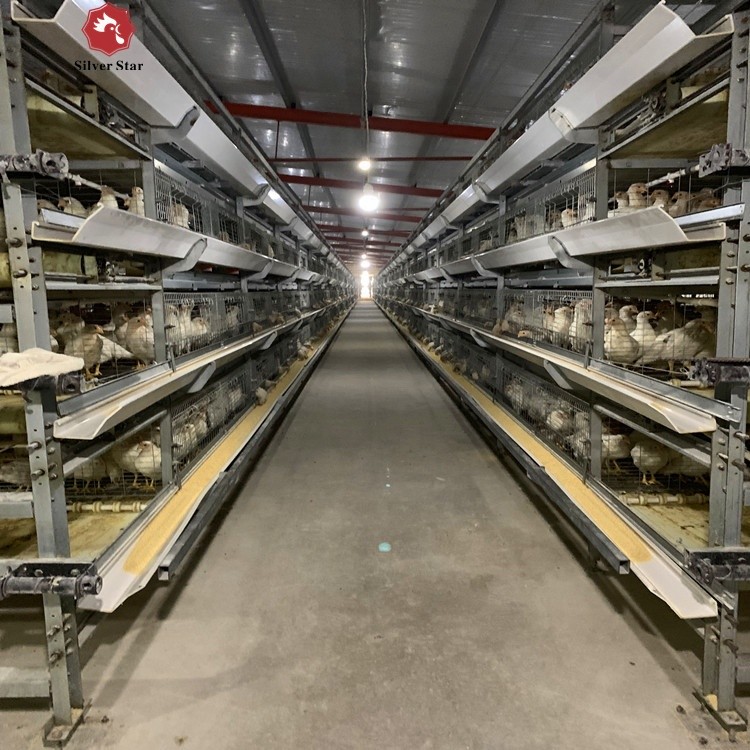 Fully Automatic Broiler Poultry Farm Cage 5000 H Type Battery For Chicken