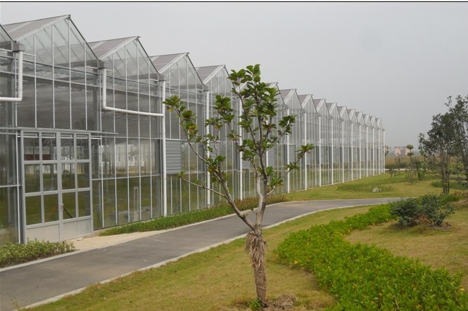 Section 4m Commercial Glass Greenhouse Exquisite Beautiful Galvanized Steel Frame