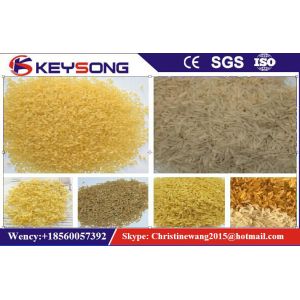 Puffed Artificial Rice Making Machine Double Screw Extruder Steady Performance