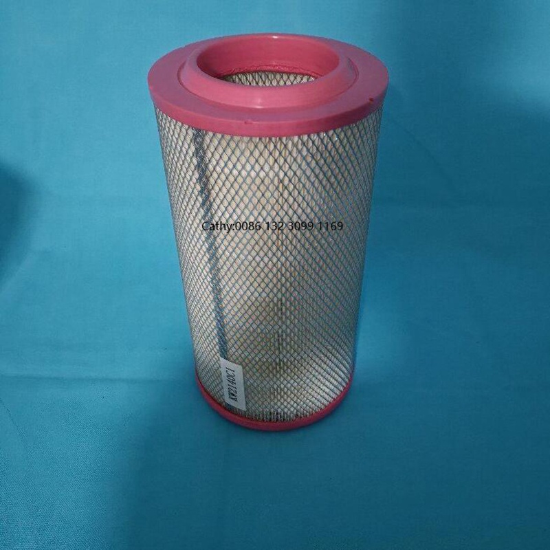 Filters air 220055064 P153551 engine air filter element
