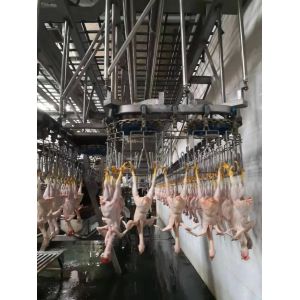  Durable Chicken Slaughtering Line Automatic Slaughtering Machine TUV Approved Manufactures