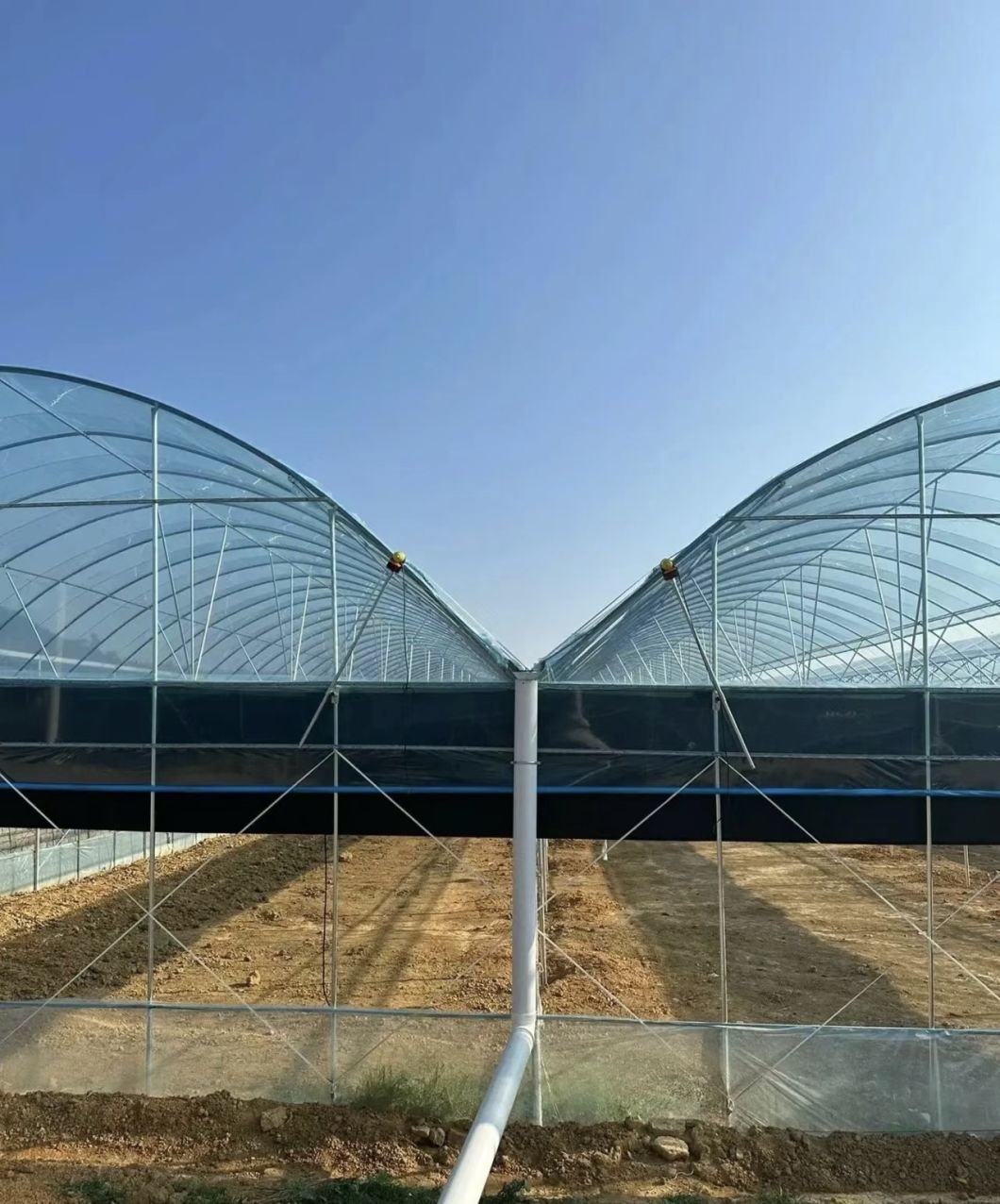 Innovative Multi-Span Film Greenhouse for Vertical Farming