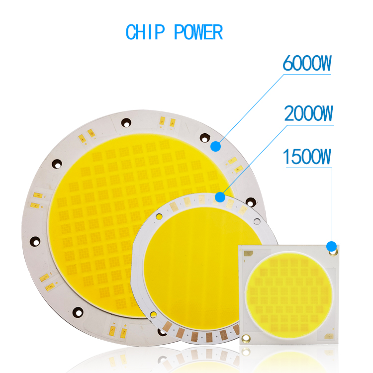 High Power Two Cct 50W 100w 200w 300w 1000W 2000W 6000W Cob Led Mudole Epistar Chip For Floor Lamp Ce Rosh
