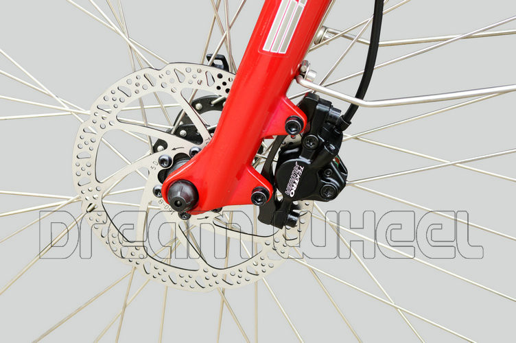Gear Motor Electric Urban Bike 48V 500W With Tektro Hydraulic Disc Brake
