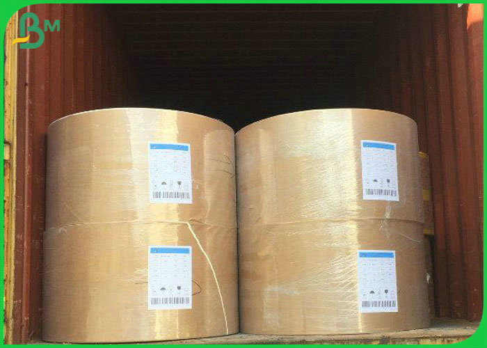 pe coated paper