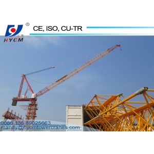 10t Building Luffing Tower Crane D5020 Model 50m Long Jib 2.0t End Load 2*2*3m