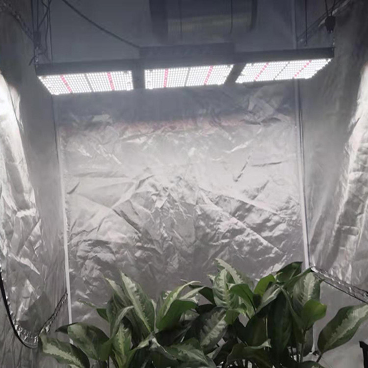 SAMSUNG 301B Quantum Board Led Grow Light 320W For Greenhouse Project