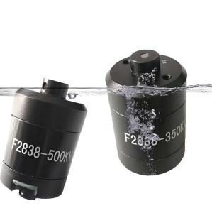  Faradyi Customized F2838 12V 24V 48V 350KV 500KV Waterproof BLDC Underwater Motor With Propeller For Electric Boat Surfboard Manufactures