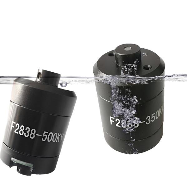 Faradyi Customized F2838 12V 24V 48V 350KV 500KV Waterproof BLDC Underwater