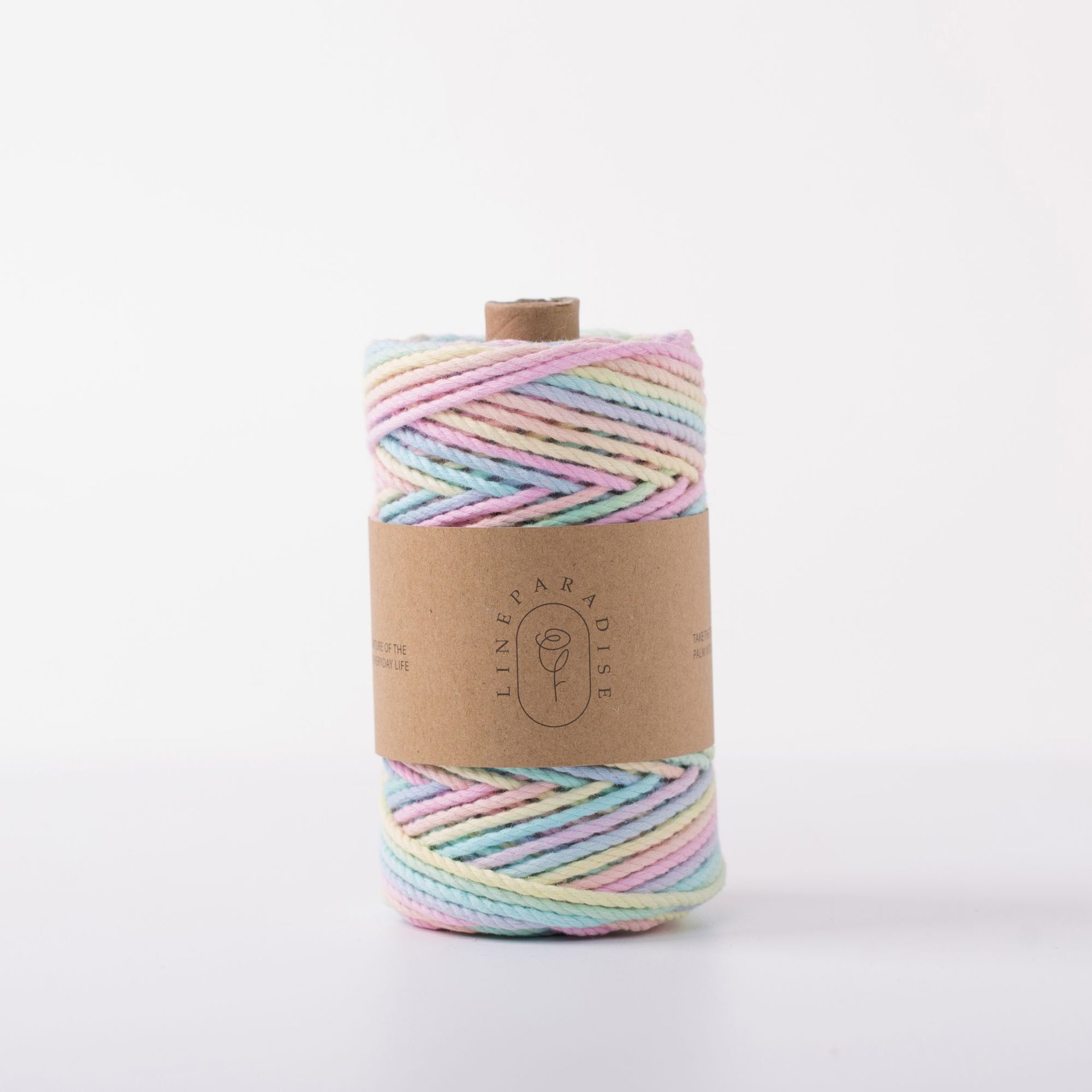 ISO9001 Solid Braid Cotton Rope Colorful 3mm Twisted Macrame Cord
