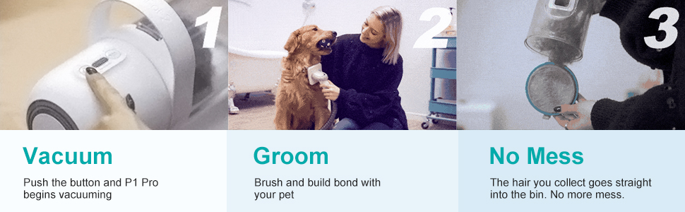 Grooming Tools Pet Hair Professional Grooming Vacuum with 5 Tools and 1.3m Power Cord