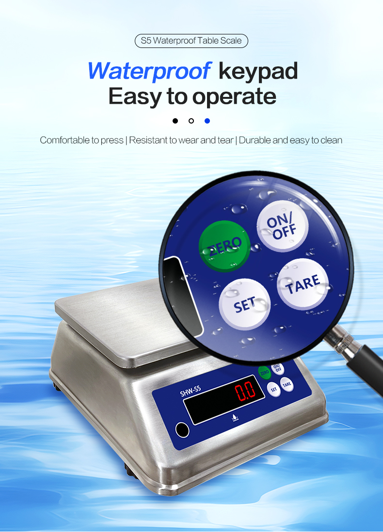 6kg Maximum Weighing Stainless Steel Scale with Dual Display and IP68 Waterproof Rating