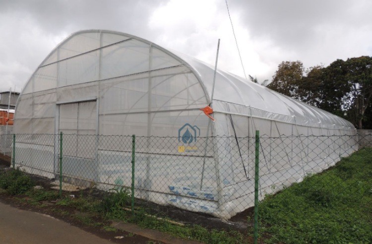Durable Single Span Tunnel Greenhouse For Hydroponic Vegetable And Fruit Planting