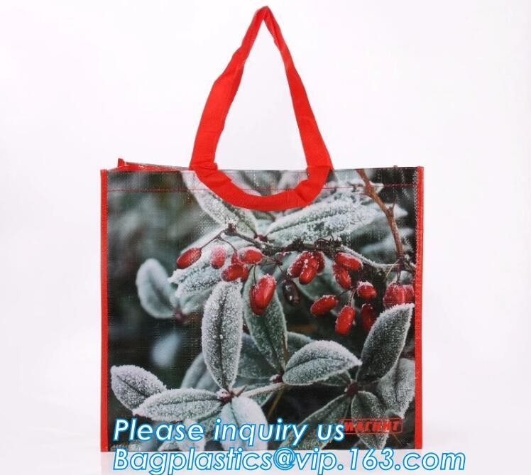 Custom Huge Luggage PP Woven Bag With Zipper Lock,PP Woven Shopping Bag,Factory customized cheap laminated pp woven shop