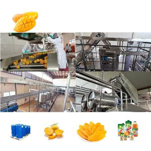 220V SUS304 Mango Juice Processing Line Destoning Removing