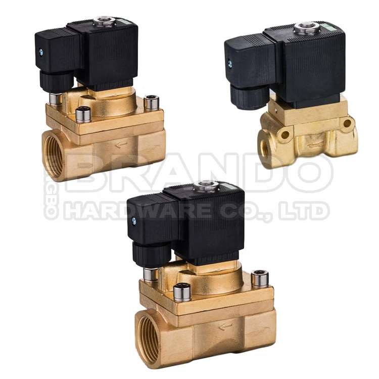 6013  Type 1/4'' NPT 2/2 Way Direct Acting Plunger Operated Brass Solenoid Valve 2
