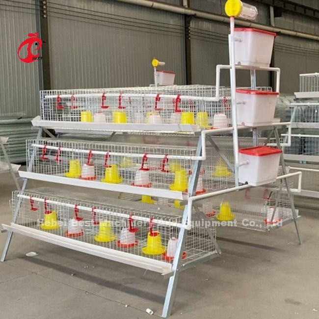 CE A Type 120 Birds Chick Rearing Cage With Drinkers And Feeders Star