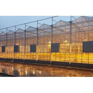 Customized Request Juxiang Tomato Cucumber Lettuce Structure Illuminating