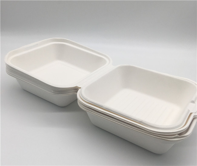 6x6 Inch Biodegradable Takeout Containers