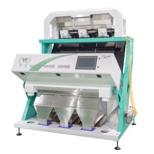 China WenYao Grain Sorter Processing Equipment Pea Color Sorting Machine Peach Gum Color Sorter Machine Ccd Color Sorter on sale