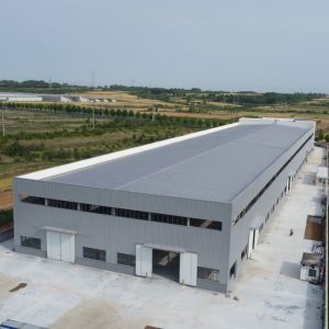 Light Steel Structure Factory Building with 50-Year Lifespan