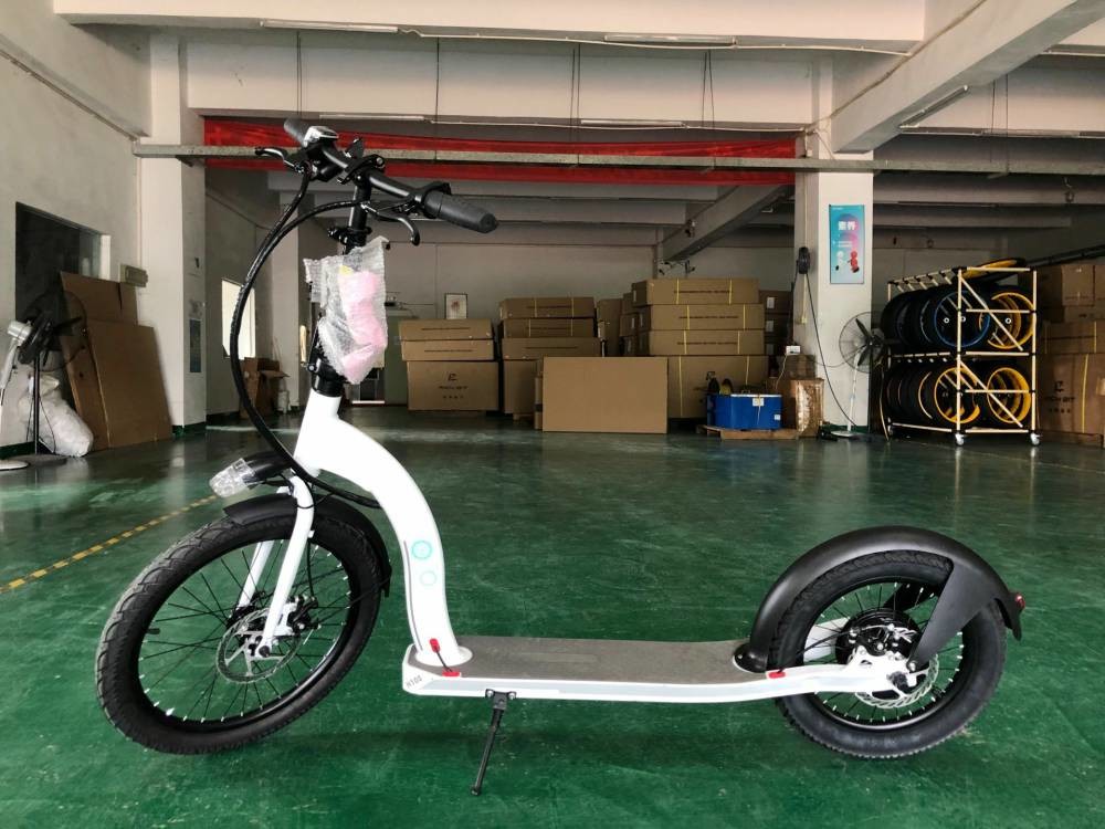 36-48V Electric Scooter Cycle With Removable Battery 30km/H