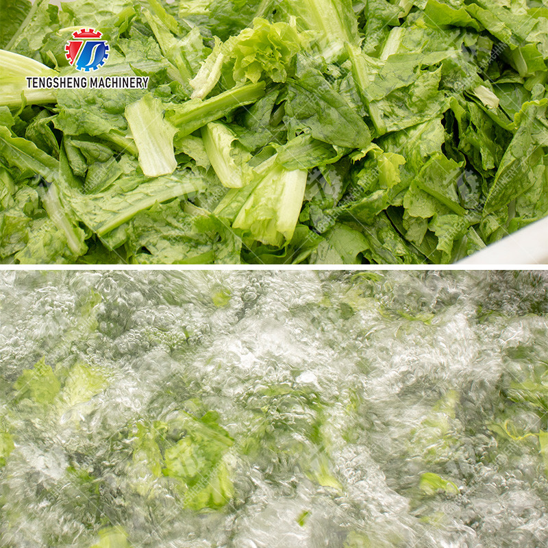 1500KG/H Fruit Vegetable Washing Machine With Stainless Steel Material