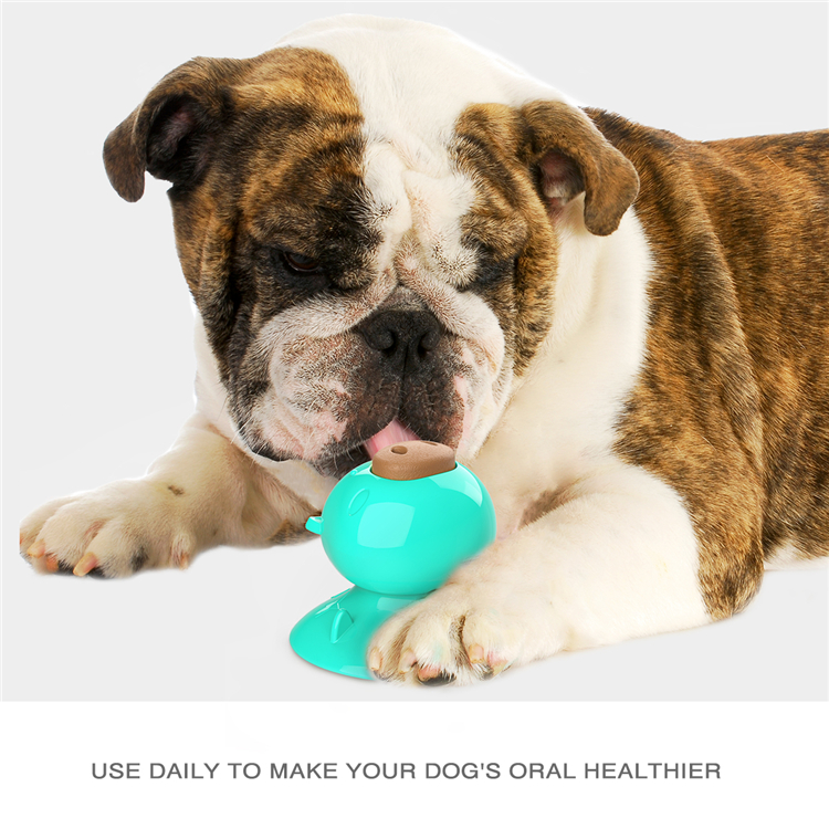 Licking Toys Cat Suction Cup Toys Dog Fun Pet Grind Teeth Chew