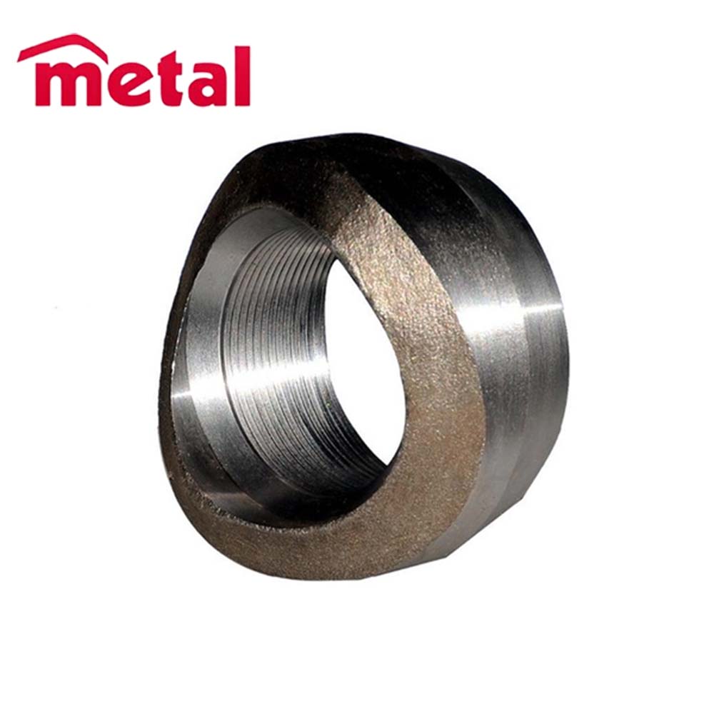 METAL Hot Sales 2023 4 Inch SCH40 2205 F51 S31803 Material Threaded Weldolet Pipe Fittings From China