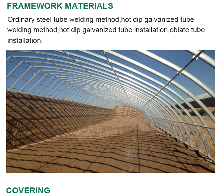 Hydroponic System Included High Strength Solar Greenhouse for Vegetable Fruits Flowers