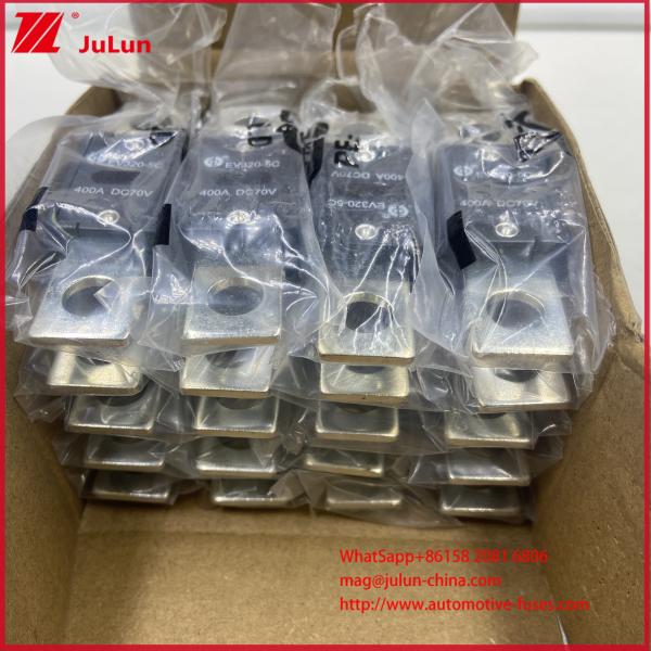 EV320-5X 5C DC70V 300A 400A 350A 6KA Maximum Breaking Current Electric Vehicle