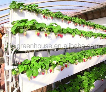 Grow Your Own Strawberries at Home with this Hydroponic Growing System Easy to Install