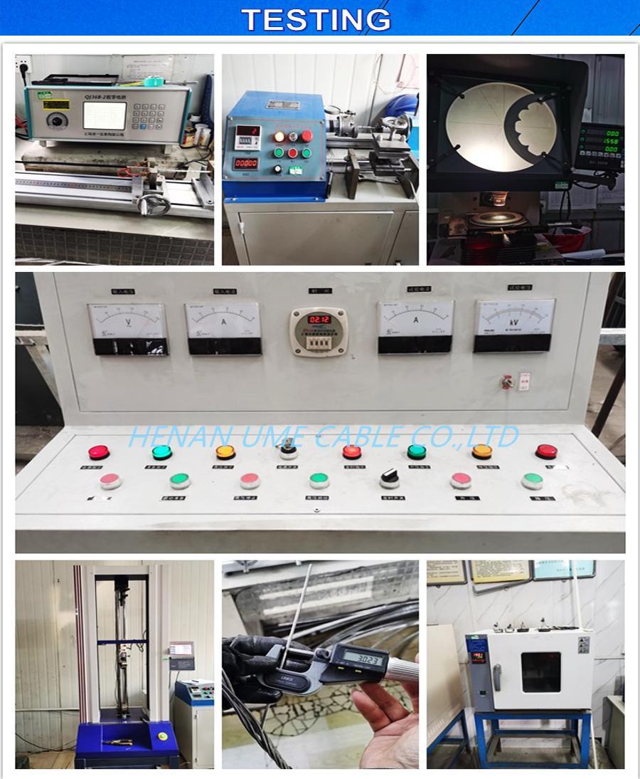 Transmission Line Aluminum Alloy Conductor Steel Reinforced Aacsr