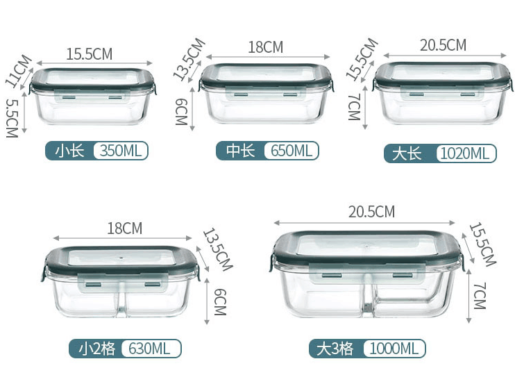 Borosilicate Pressed Glass Lunch Boxes With Locking Lids