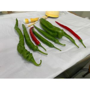 Vacuum Plating Custom 3D Printing Service For Decoration Art Plant Chilli Model