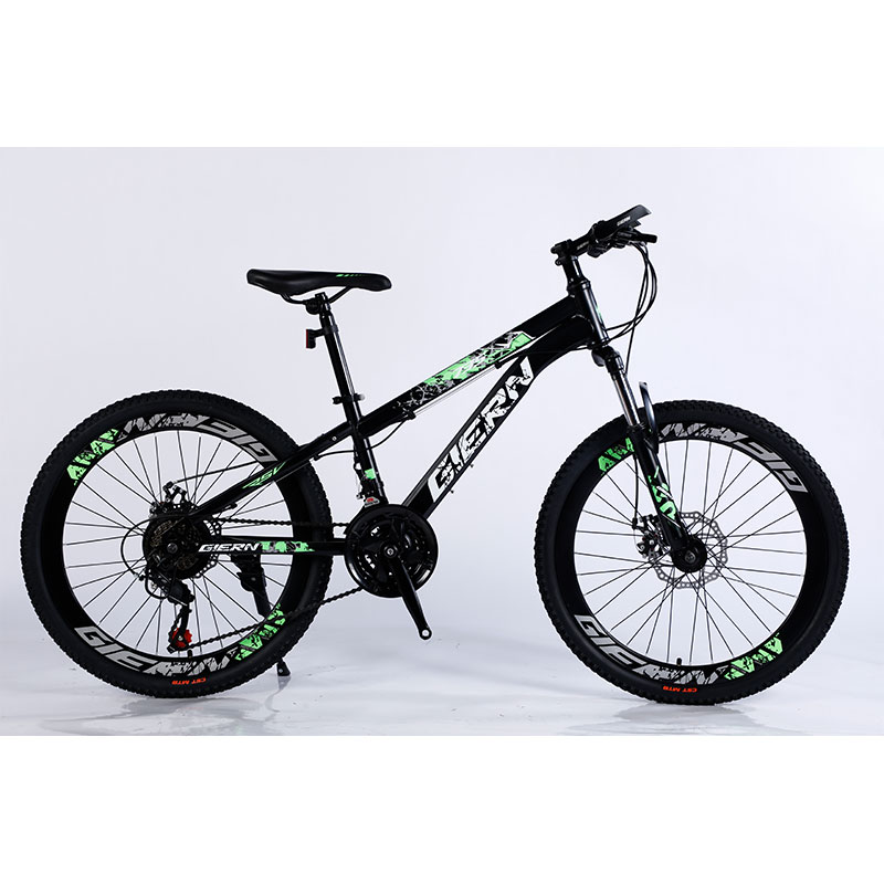Affordable Mountain Bicycle with Sus Fokr Cp Crown and Tongli Michanical Disc Brake