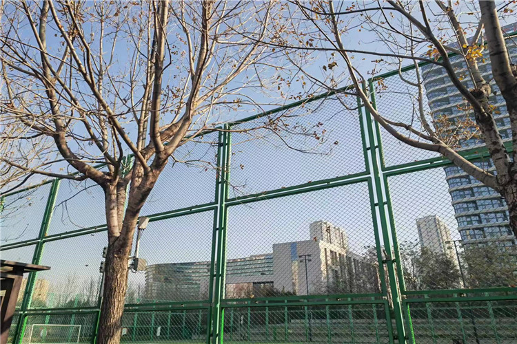 Factory Direct High Security Galvanized Diamond Wire Mesh Chain Link Fence For Football Pitch