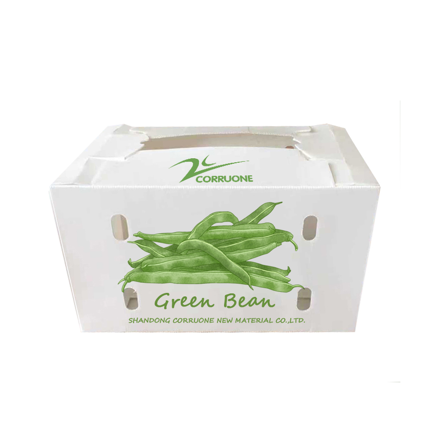 Embossing PP Vegetable Corrugated Boxes Rice Meat Corflute Box