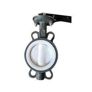 CE Customized DN80 Manual Nylon Butterfly Valve with lever