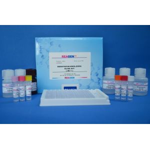 Plasmid DNA Kanamycin Fine Test Elisa Kit High Repetitive 90% Accuracy