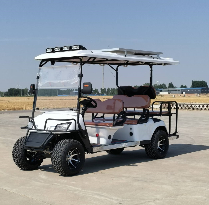 6 Seater Golf Cart Logo Printing Customized Adult Rechargeable Tourist Sightseeing Car
