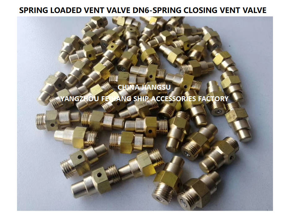 DN6 Spring Loaded Vent Valve with Threaded Ends Compliant with CB/T3778-1999