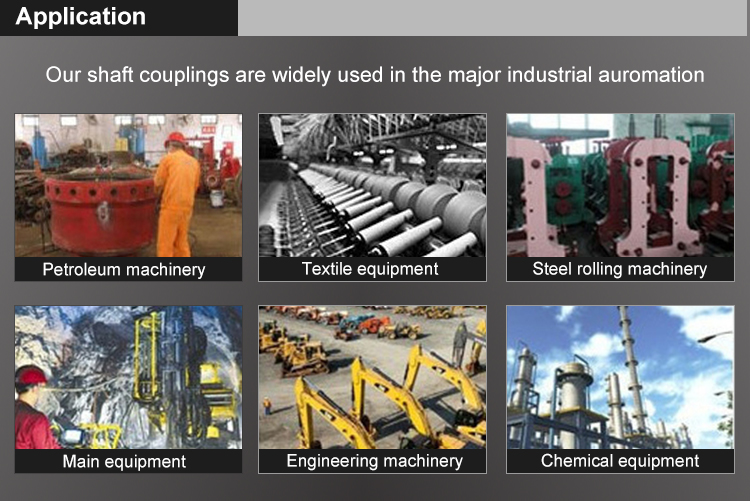 Power Flexible Drive Coupling Steel Sprocket Chain Coupling Customized