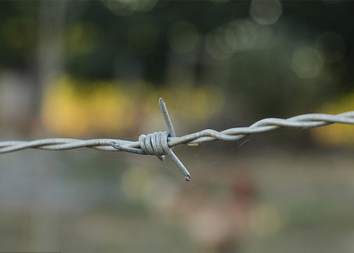 Use Of Prison Walls Length 200m Stainless Steel Barbed Wire Price Per Roll