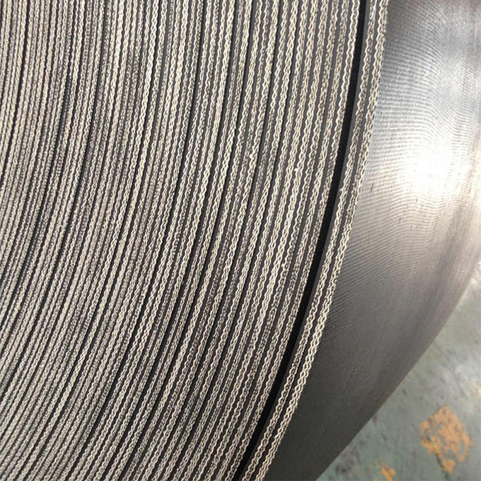 ST630/ST800/ST1000 High Temperature Conveyor Belts with Tear-resistant Design