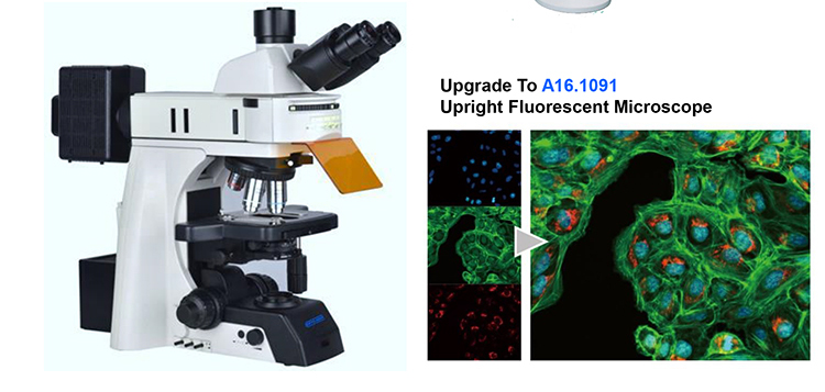 OPTO-EDU A12.1091-H Manual Research 25mm Science Lab Microscope