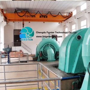 Thyristor Excitation Francis Turbine Generator Highly Automated Controlled