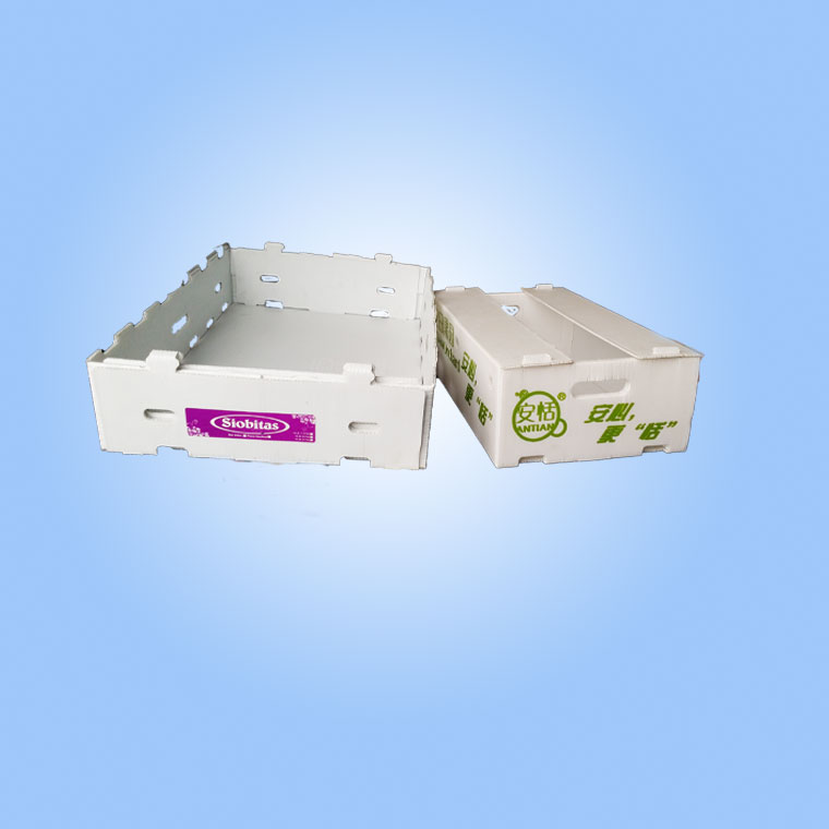 Recyclable Corrugated Plastic Storage Boxes Corflute Storage Boxes