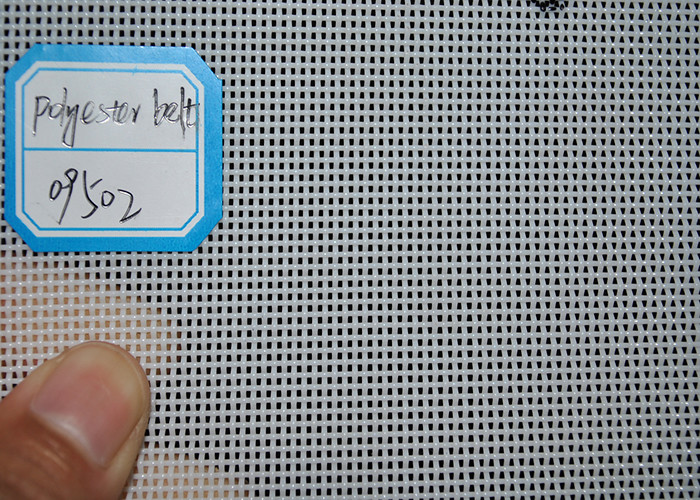 Polyester Square Hole Mesh Dyeing ODM Spiral Belt