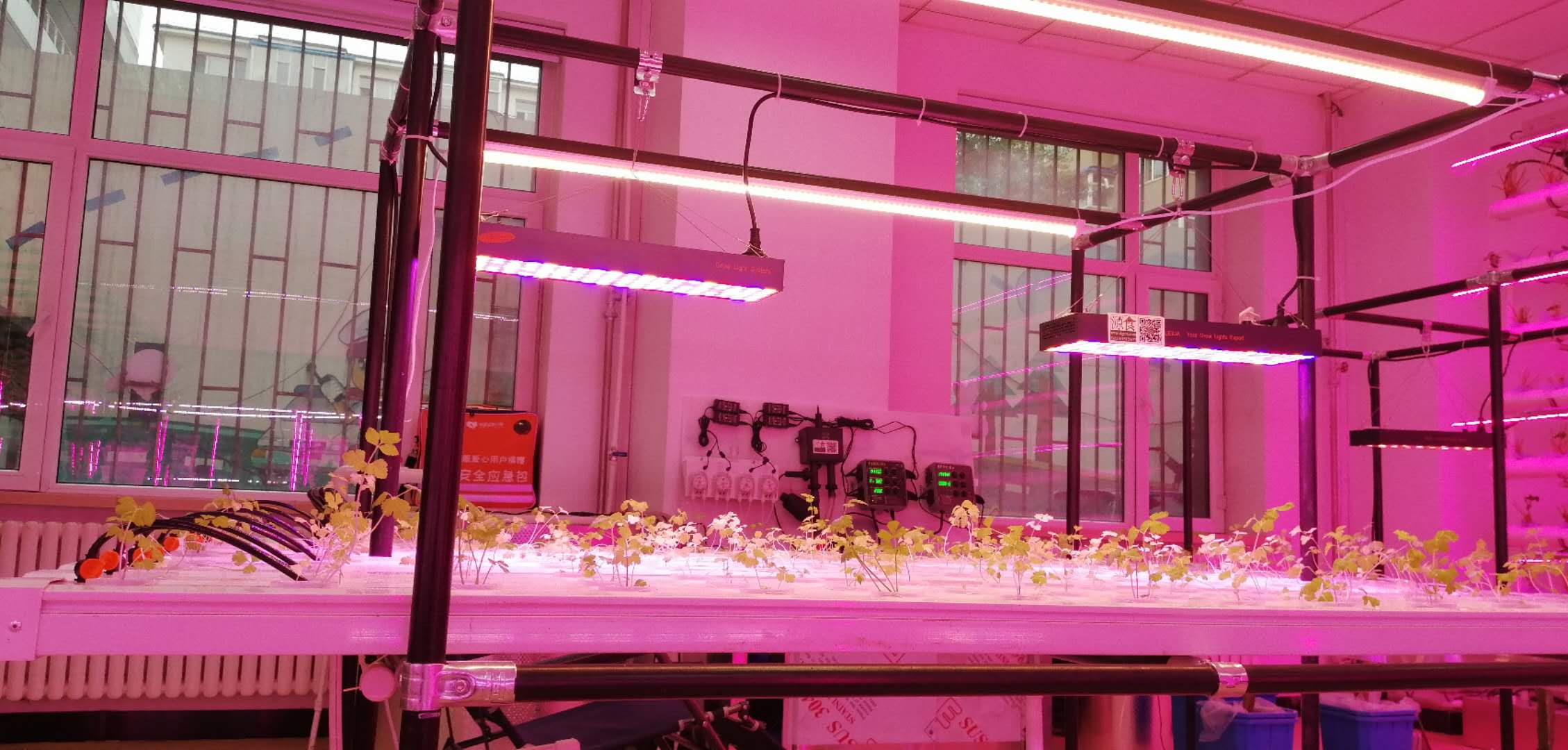 Greenhouse Agriculture Iot Vertical Factory For Modern Agriculture